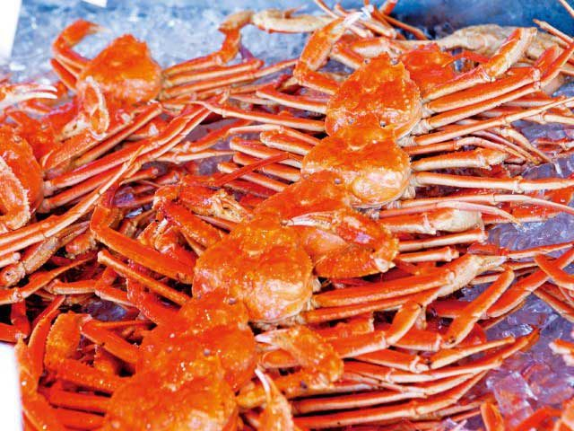 寺泊魚の市場通り