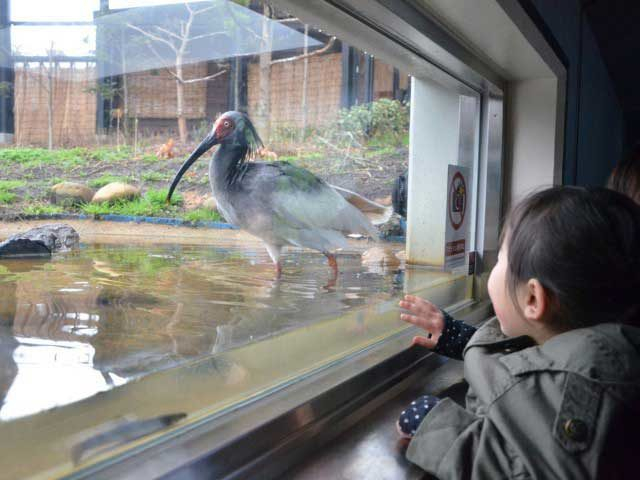 佐渡ってどんな島?