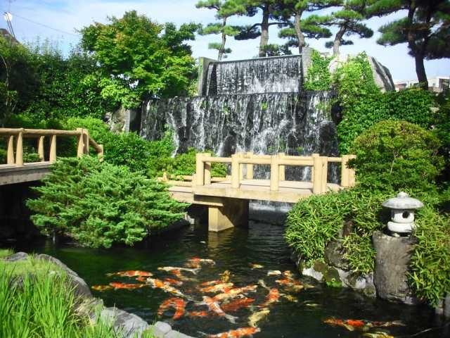 【長岡&小千谷×観光】世界から評価される錦鯉を観賞「小千谷市錦鯉の里」