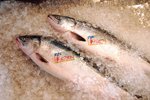 道の駅 うとろ・シリエトク