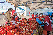 根室の花咲ガニ