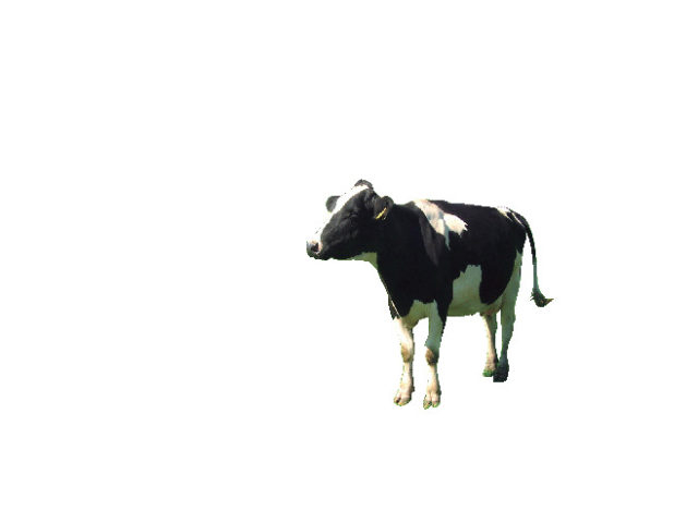 ➁ミルクロード