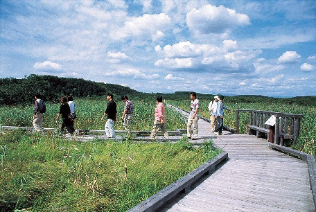 温根内木道コース