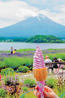 【富士山観光モデルコース1】1泊2日 北麓周遊コース