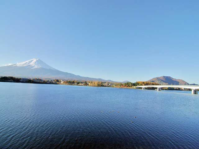 河口湖エリア
