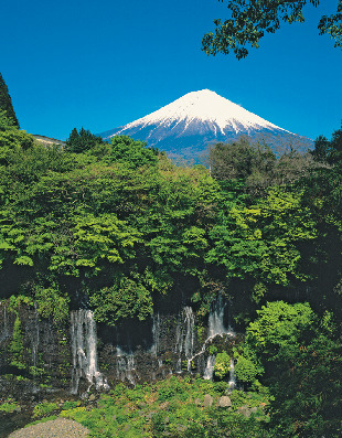 【富士山観光モデルコース2】日帰り 南麓横断コース