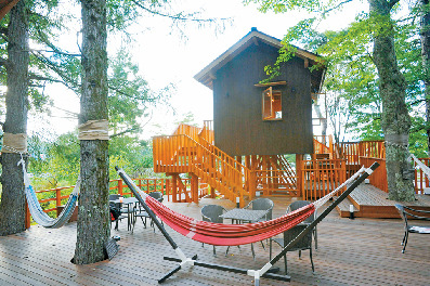 【富士山観光モデルコース3】日帰り 東麓縦断コース