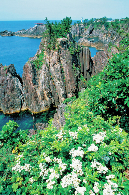 【佐渡島観光モデルコース:1日目⑥】断崖絶壁が連なる景勝地「尖閣湾(揚島遊園)」