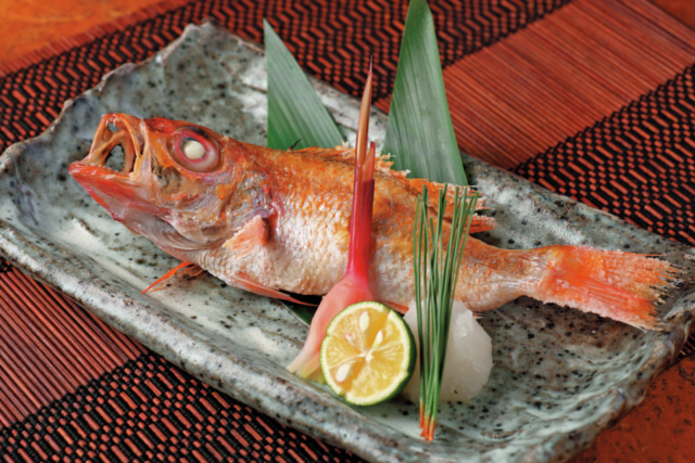 【新潟×郷土料理】富來屋<新潟タウン>