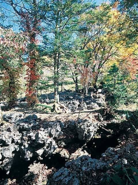 温泉パワーを感じる噴出跡「噴湯丘と球状石灰石」