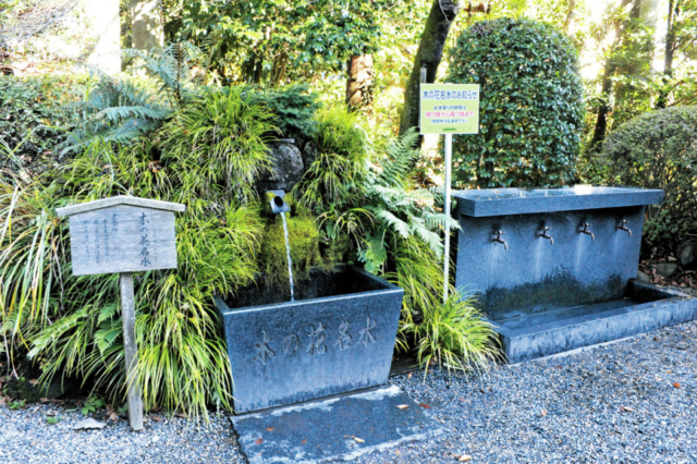 新橋浅間神社(木の花名水)