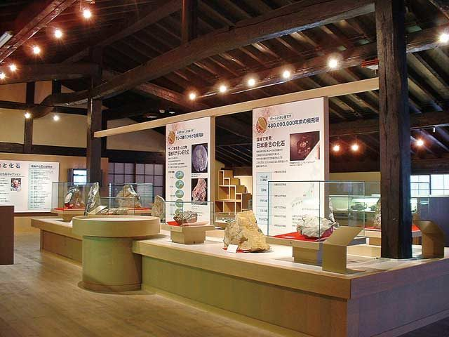 【奥飛騨温泉郷×福地温泉観光】太古のロマンに思いをはせる「福地化石館」