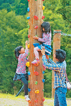 【ここが遊びドコロ】ゴロネの原