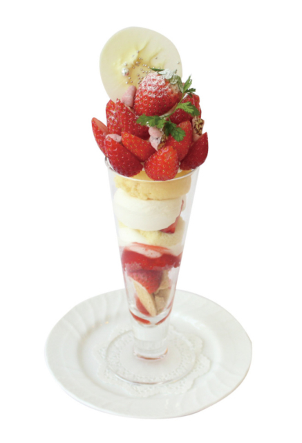 【河口湖のおすすめランチスポット】富士山を望むテラスで優雅なひととき「森のレストラン」