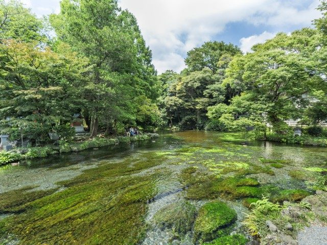 【富士山観光モデルコース2】日帰り 南麓横断コース