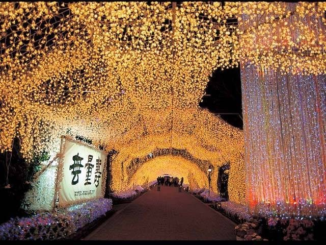 【富士山麓×10月のイベント】時之栖イルミネーション