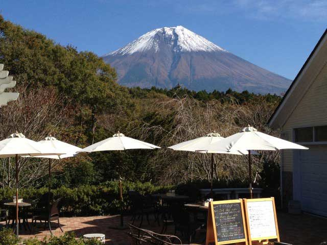 有機野菜を使った体にうれしい料理「CAFE NATUREL」