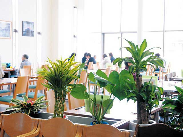 ビュッフェレストラン ふじさん