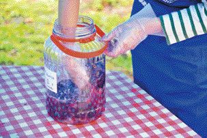 紫金園 須藤ぶどう酒工場