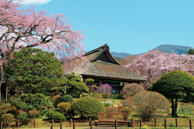 秩父宮記念公園