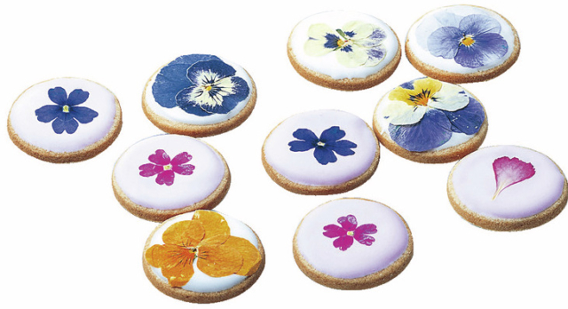 【松江×土産×ご当地食品】おはなクッキー