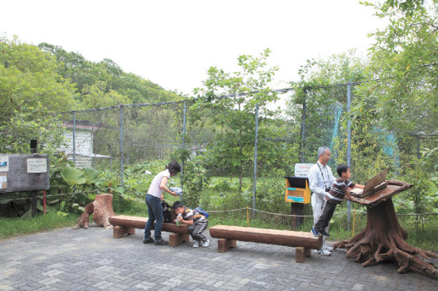 【釧路のタンチョウ観察スポット】釧路市動物園