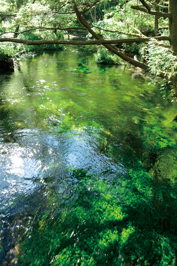 【上高地×河童橋〜明神橋コース】上高地の自然を知る「上高地ビジターセンター」