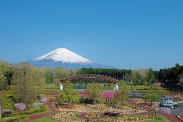 富士山樹空の森