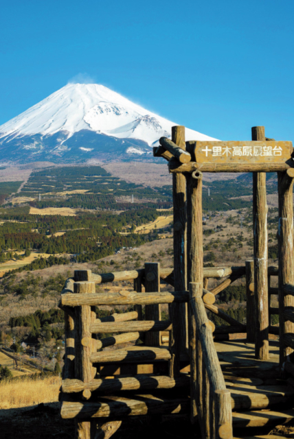 【旅ネタ!】富士山のビュースポット「十里木高原展望台」
