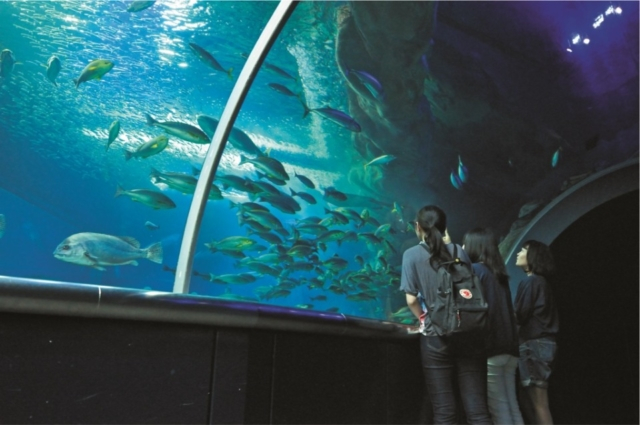 【見どころ】新潟市水族館 マリンピア日本海