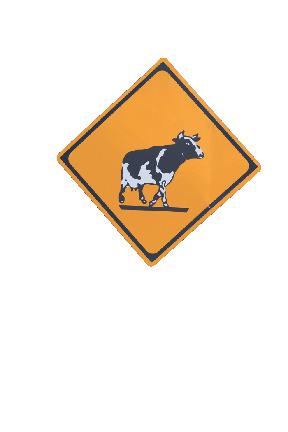 飛び出し注意の看板に注目!