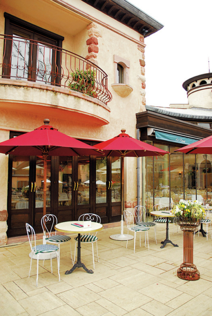 【河口湖のおすすめランチスポット】富士山を望むテラスで優雅なひととき「森のレストラン」