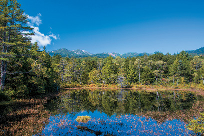 すがすがしい空気に包まれるハイキング