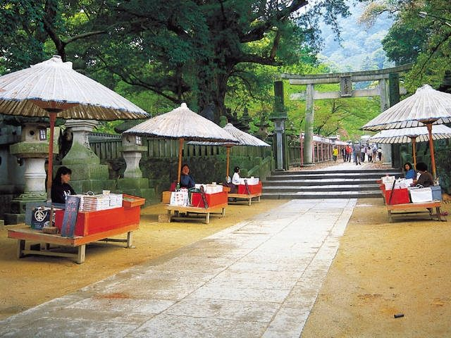 【香川・金刀比羅宮】五人百姓 365段目