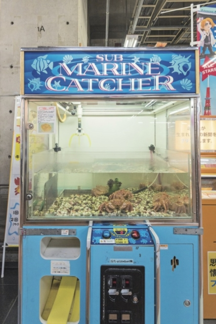 人気の複合施設