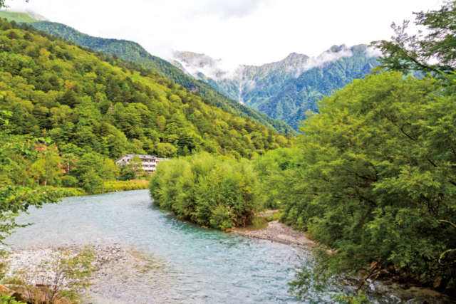 【上高地×大正池〜河童橋コース】田代湿原のあとは自然研究路へ