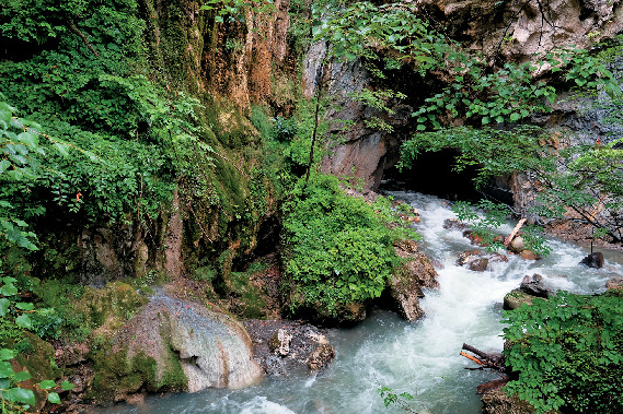 白骨の自然が育んだ渓谷美「隧通しと冠水渓」