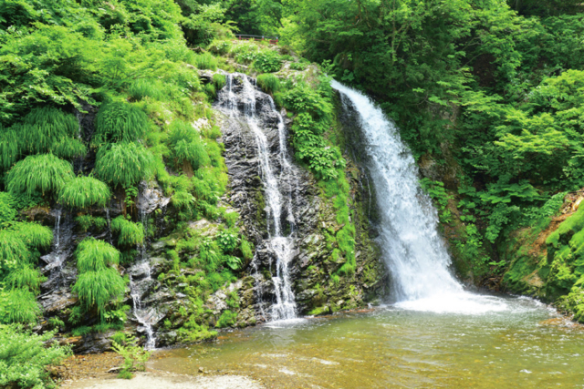 ダイナミックな滝を一望「白銀の滝」