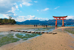 いざ大鳥居へ!砂浜から歩いて大接近