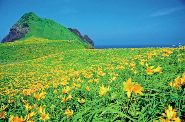 【佐渡島観光モデルコース:1日目⑤】大自然を感じる一枚岩「大野亀」