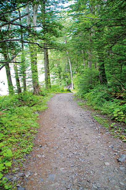 【上高地×明神~徳沢・横尾コース】テントで上高地の自然と一体に!「徳沢キャンプ場」