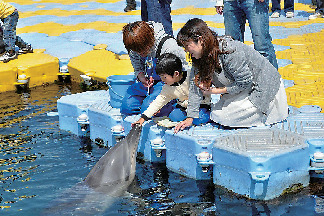 【香川・さぬき&東かがわ×観光】日本ドルフィンセンター