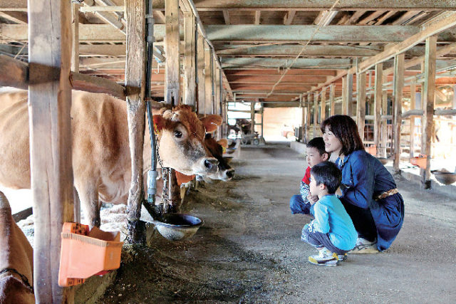 【香川・さぬき&東かがわ×観光】大山牧場うしおじさん