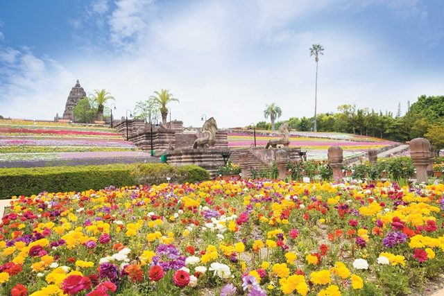 【香川・丸亀&宇多津×観光】レオマリゾート