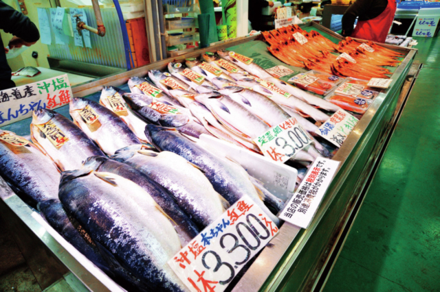 【釧路グルメ×勝手丼】和商市場