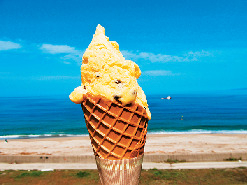 瀬波南国フルーツ園