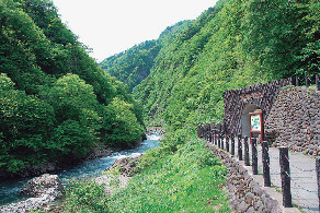 ダイナミックな渓谷美を間近に見る「清津峡」