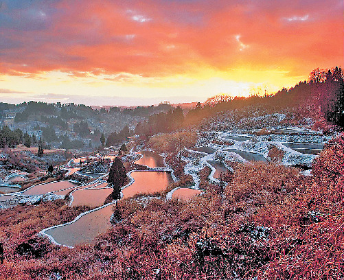 霧の中に浮かぶ幽玄の美しさ「蒲生の棚田」
