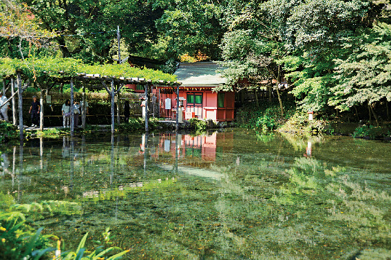 【お参りナビ②】湧玉池