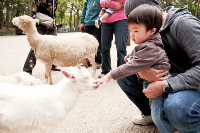 【牧場遊び】牧場体験